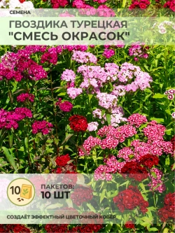 Семена Гвоздика Турецкая "Смесь окрасок" - 10 пакетов