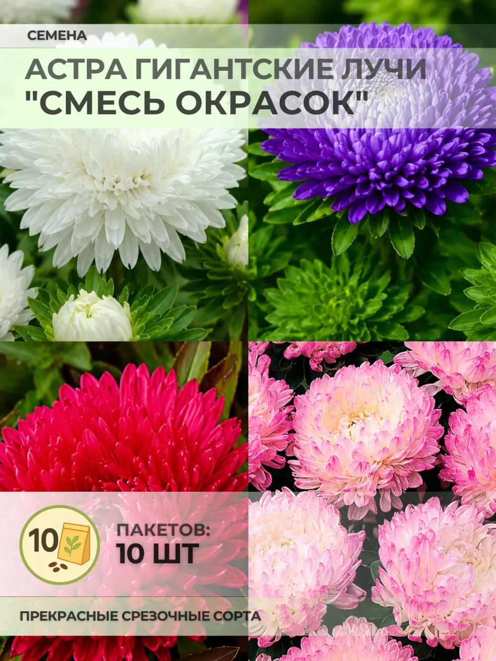 Семена Астра Гигантские лучи "Смесь окрасок" - 10 пакетов