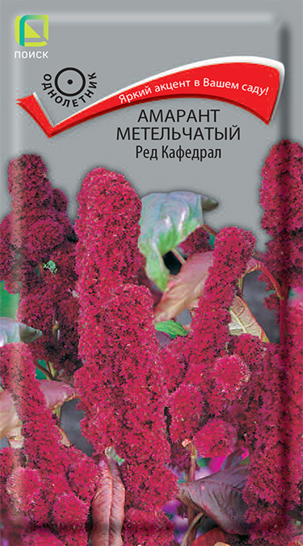 Амарант метельчатый Ред Кафедрал