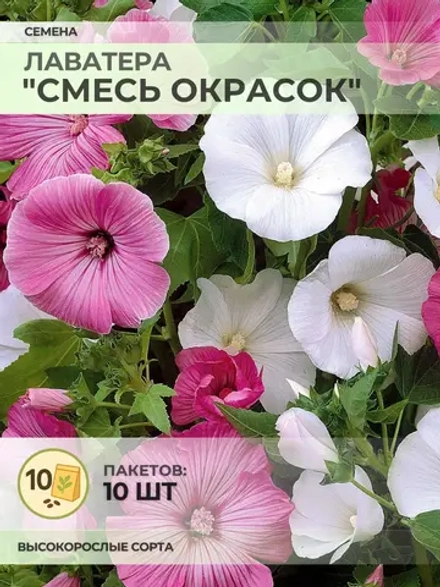 Семена Лаватера "Смесь окрасок" - 10 пакетов