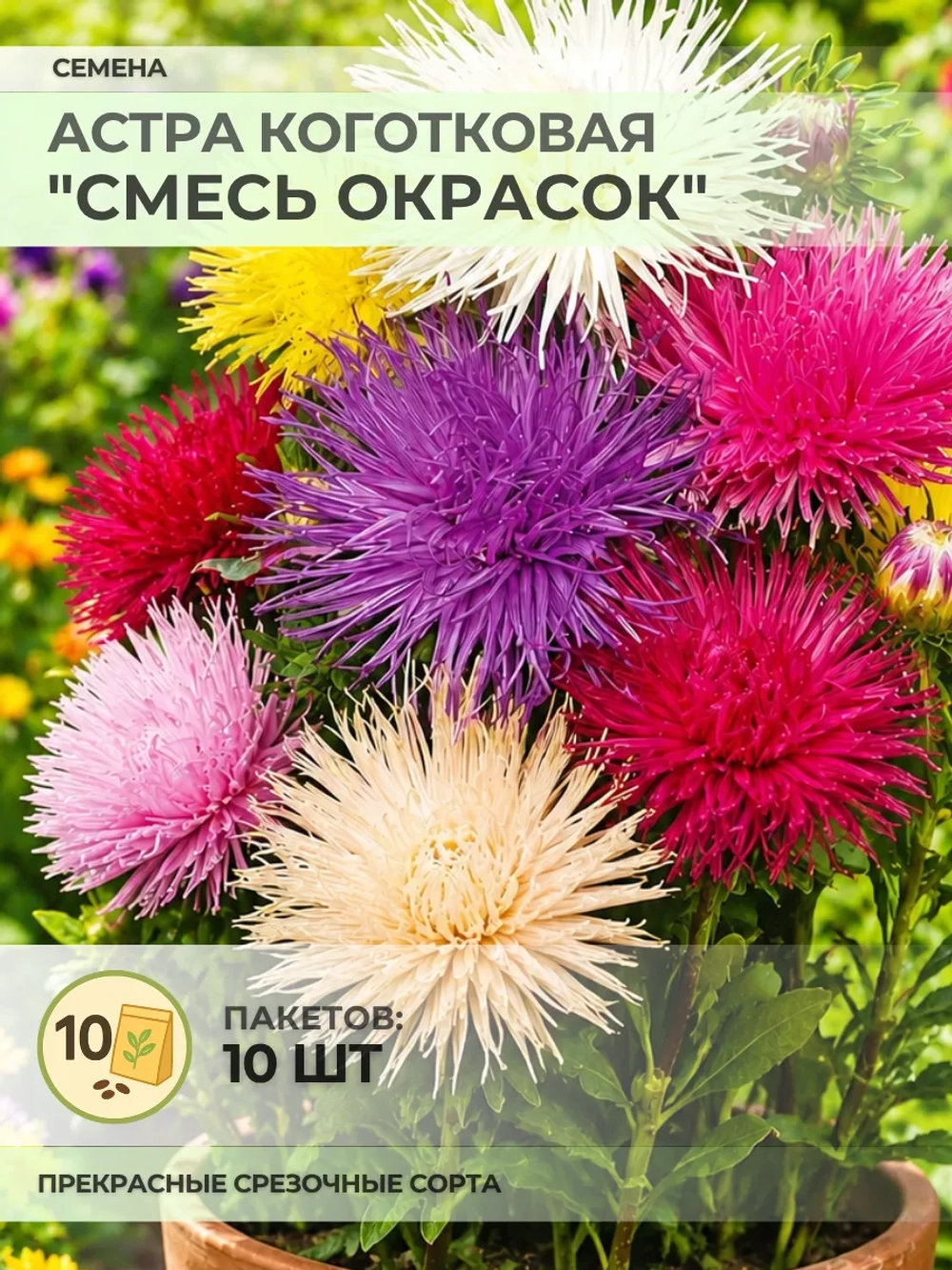 Семена Астра Коготковая "Смесь окрасок" - 10 пакетов