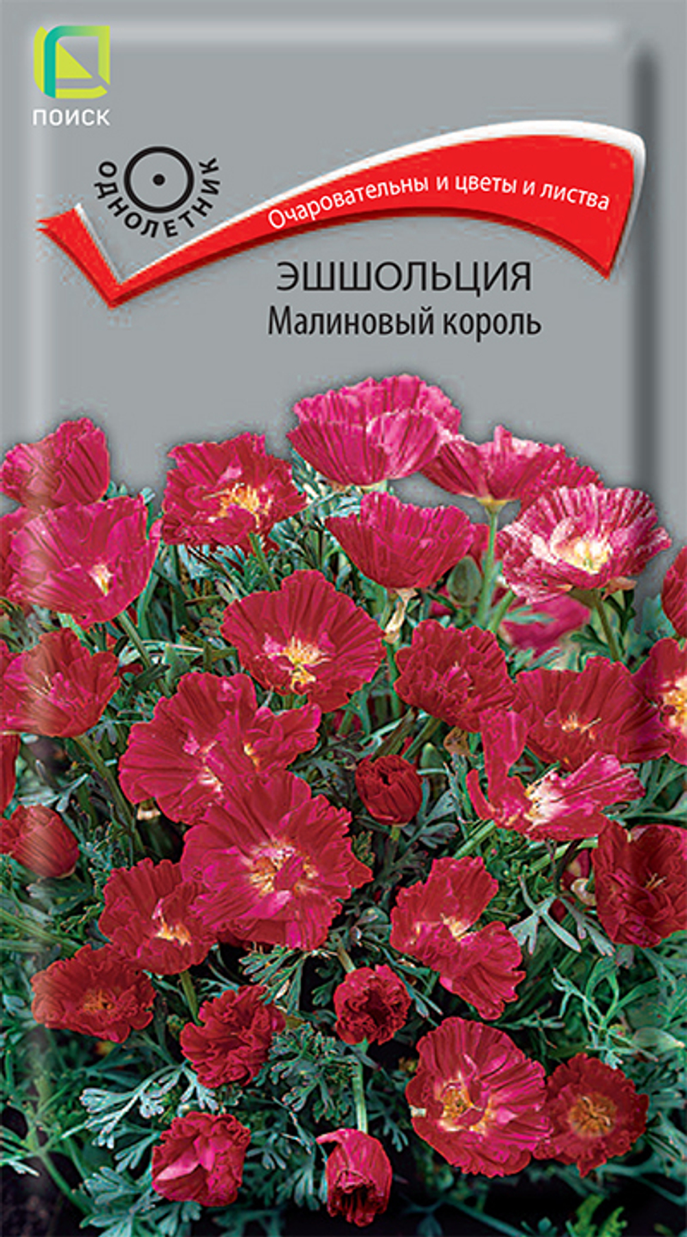 Эшшольция Малиновый король