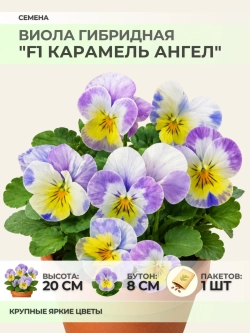 Семена Виолы гибридной "F1 Карамель Ангел" - 1 пакет