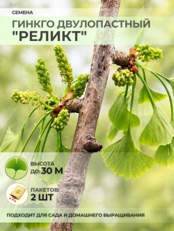 Семена Гинкго Двулопастный "Реликт" - 2 пакета