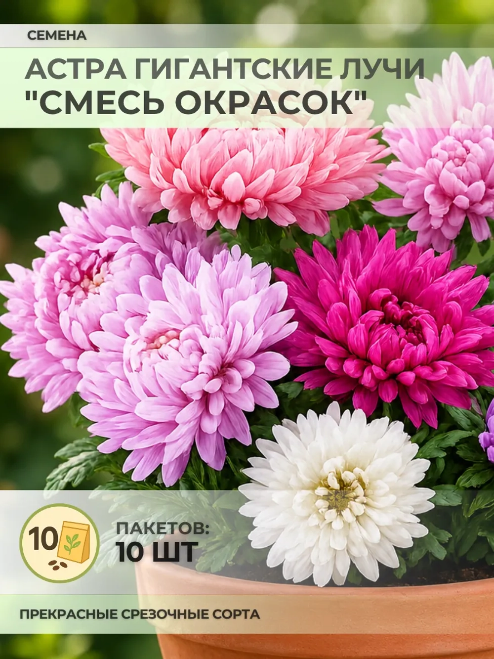 Семена Астра Гигантские лучи "Смесь окрасок" - 10 пакетов