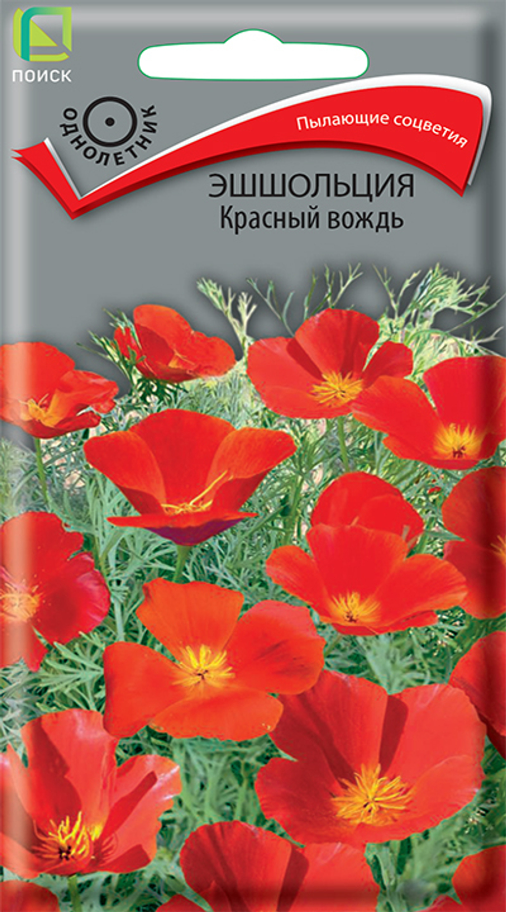 Эшшольция Красный вождь