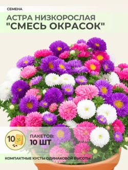 Семена Астра Низкорослая "Смесь окрасок" - 10 пакетов