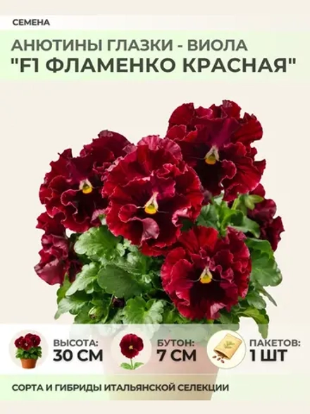 Семена Анютины глазки "F1 Фламенко Красная" - 1 пакет