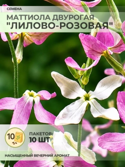 Семена Маттиола двурогая "Лилово-Розовая" - 10 пакетов