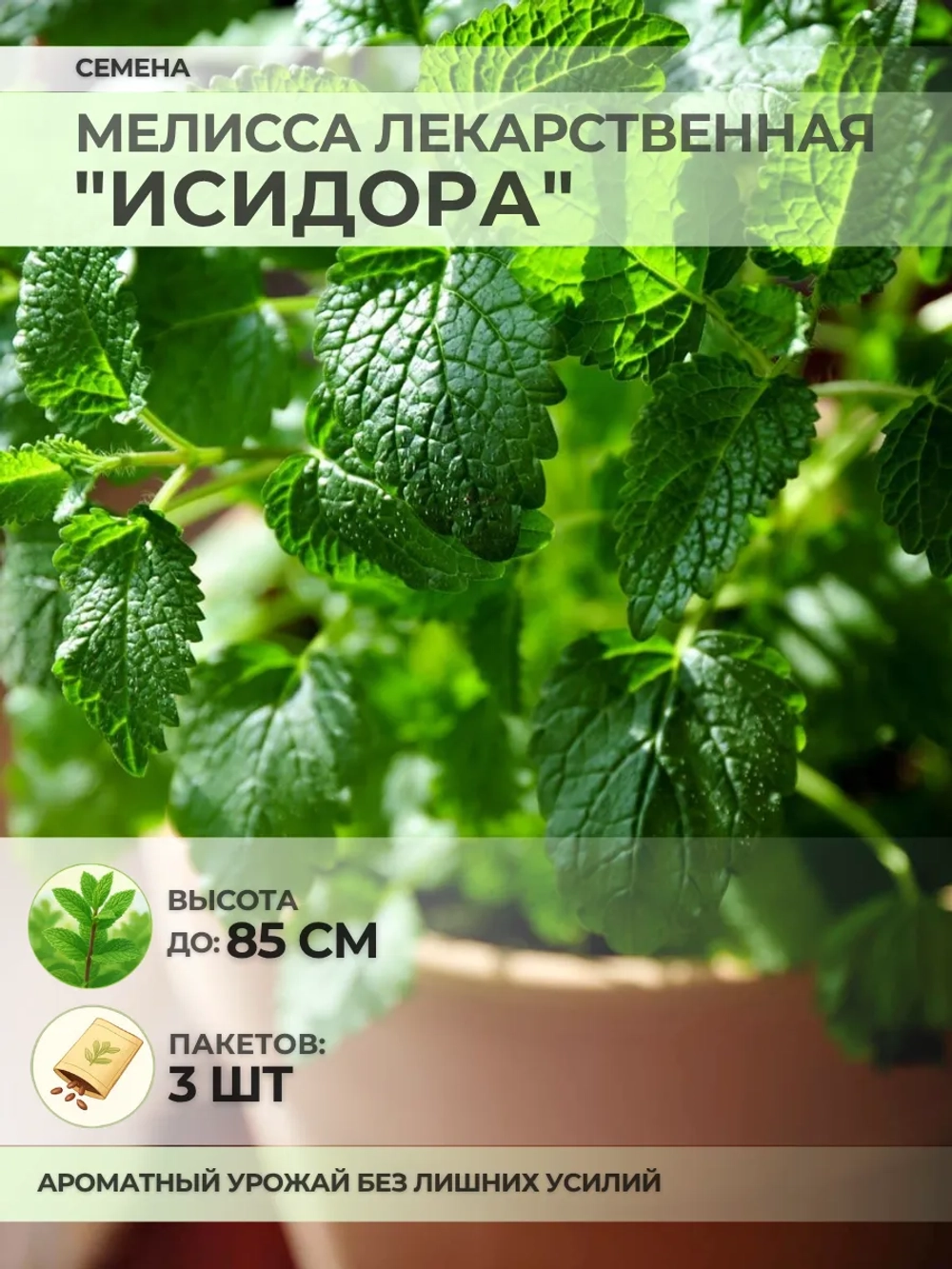 Семена Мелисса лекарственная "Исидора" - 3 пакета