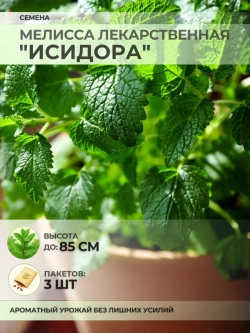 Семена Мелисса лекарственная "Исидора" - 3 пакета