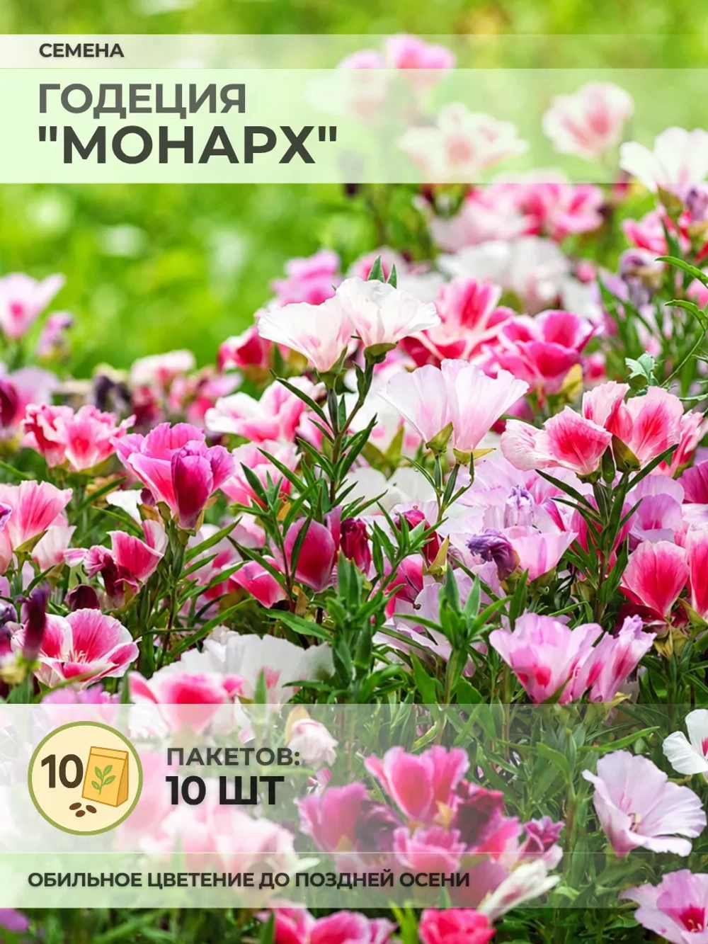 Семена Годеция "Монарх" - 10 пакетов