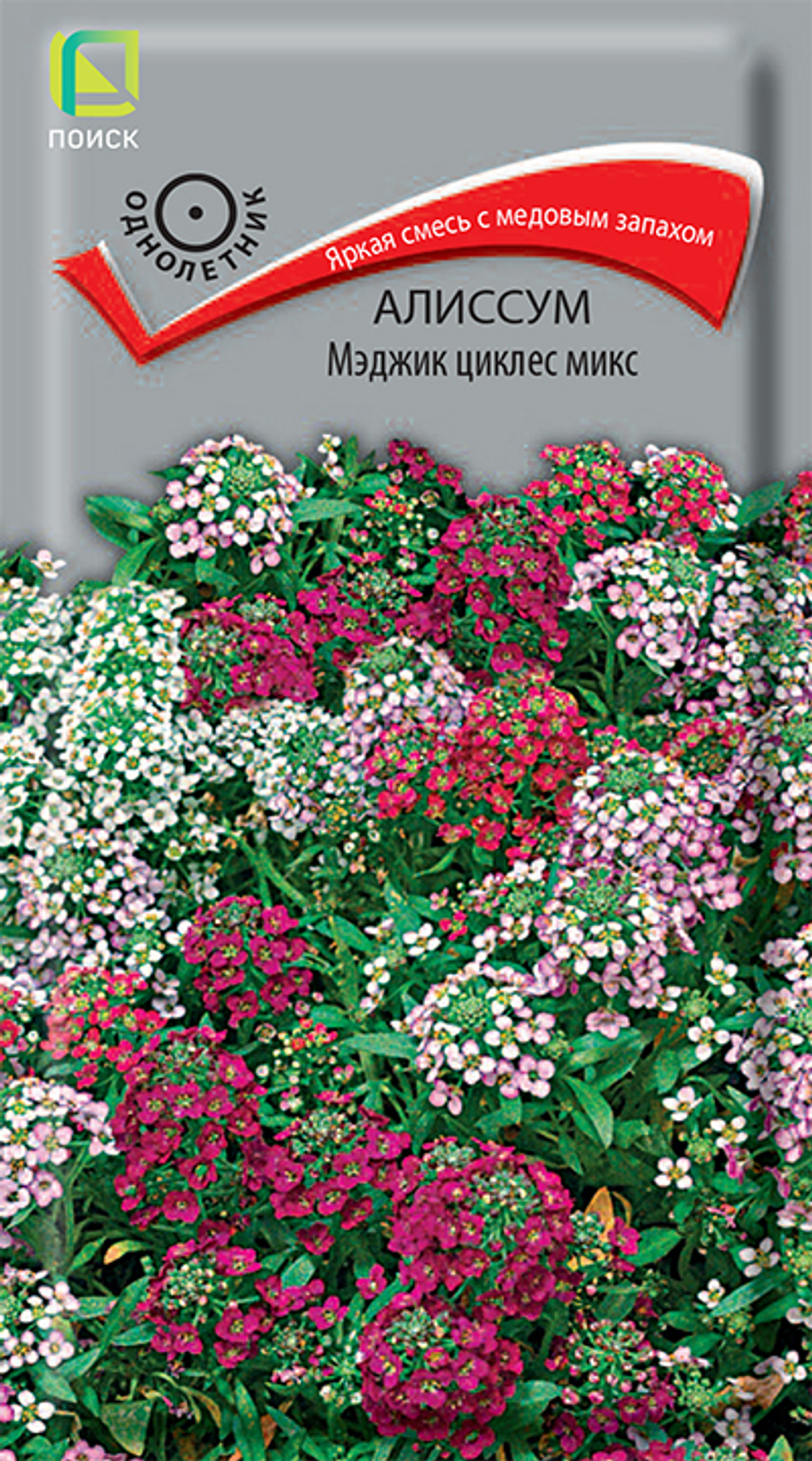Алиссум Мэджик циклес микс
