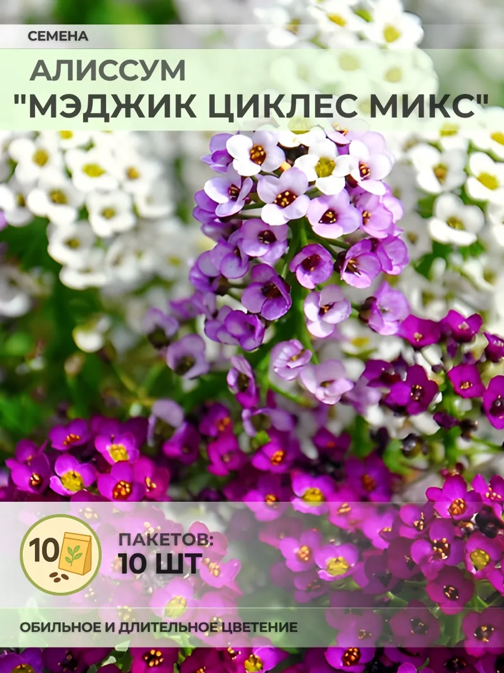 Семена Алиссум "Мэджик Циклес микс" - 10 пакетов