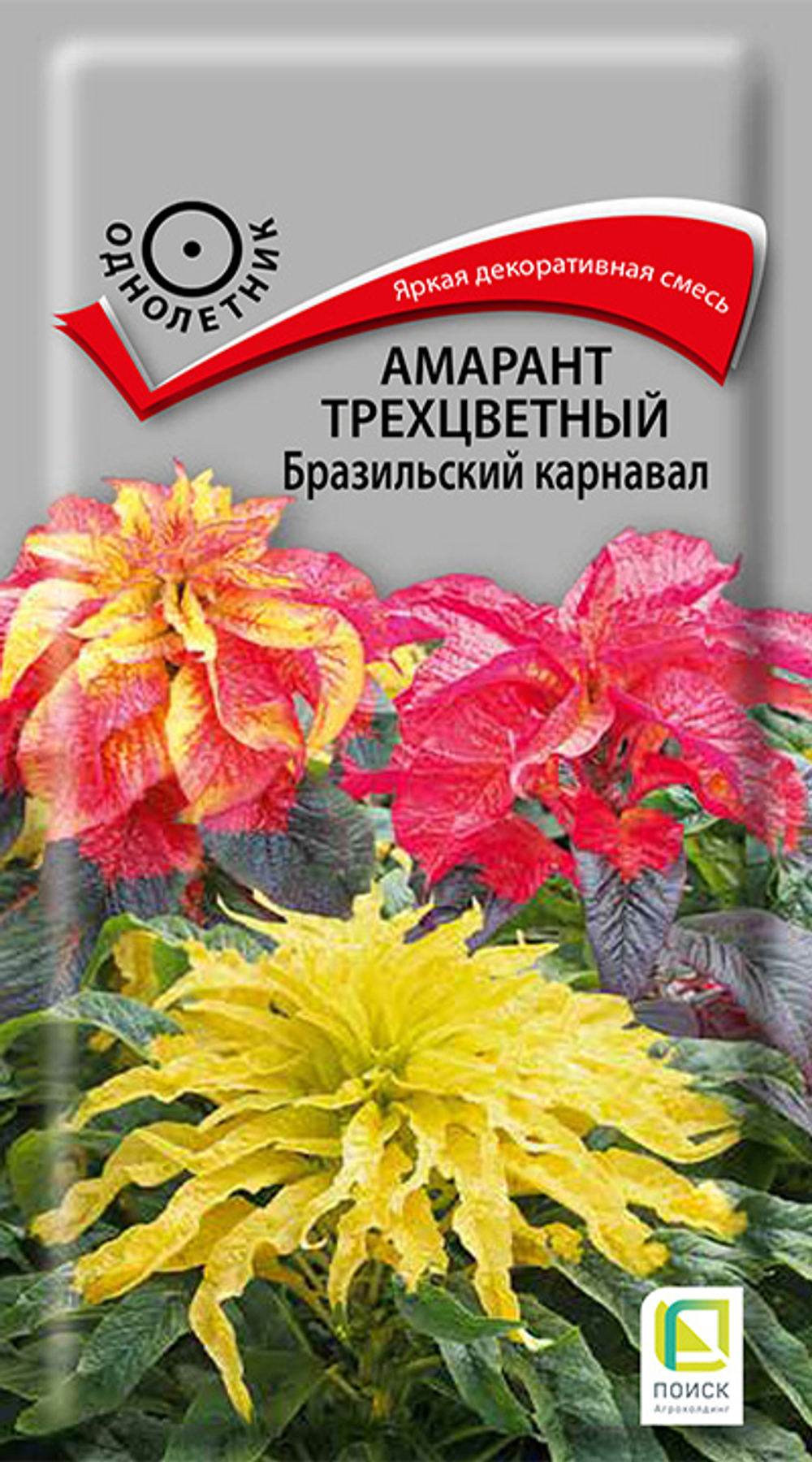 Амарант трёхцветный Бразильский карнавал