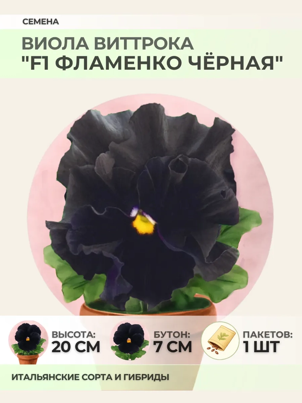 Семена Виолы Виттрока "F1 Фламенко Чёрная" - 1 пакет