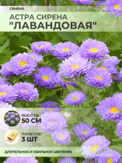 Семена Астры "Сирена "Лавандовая" - 3 пакета