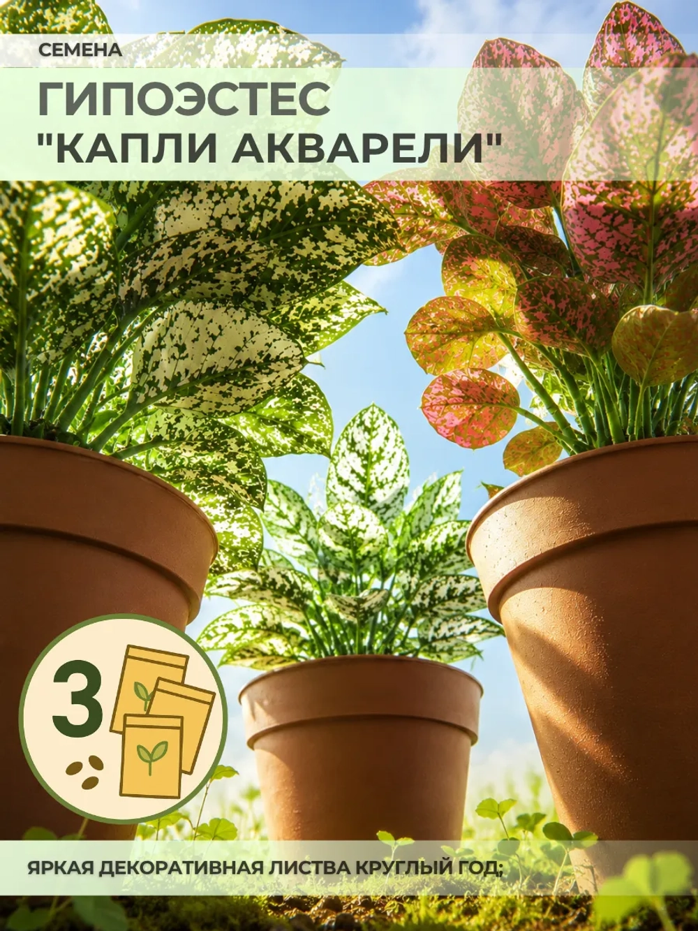 Семена Гипоэстеса "Капли акварели" - 3 пакета