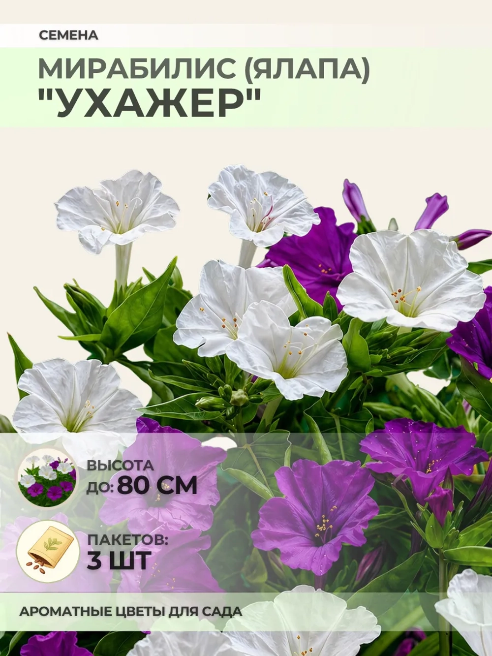 Семена Мирабилис (Ялапа) "Ухажёр" - 3 пакета