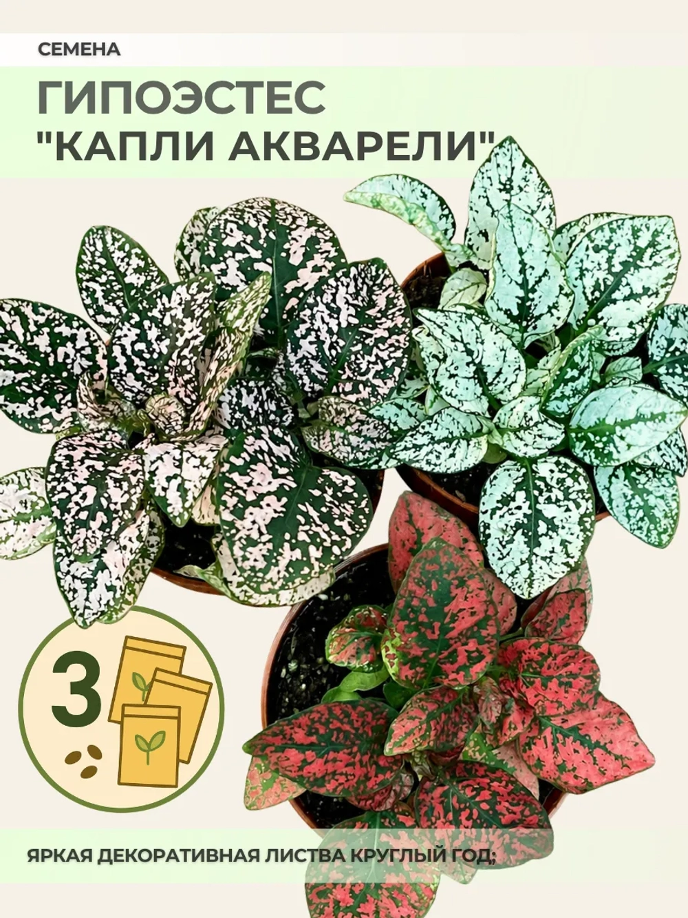Семена Гипоэстеса "Капли акварели" - 3 пакета