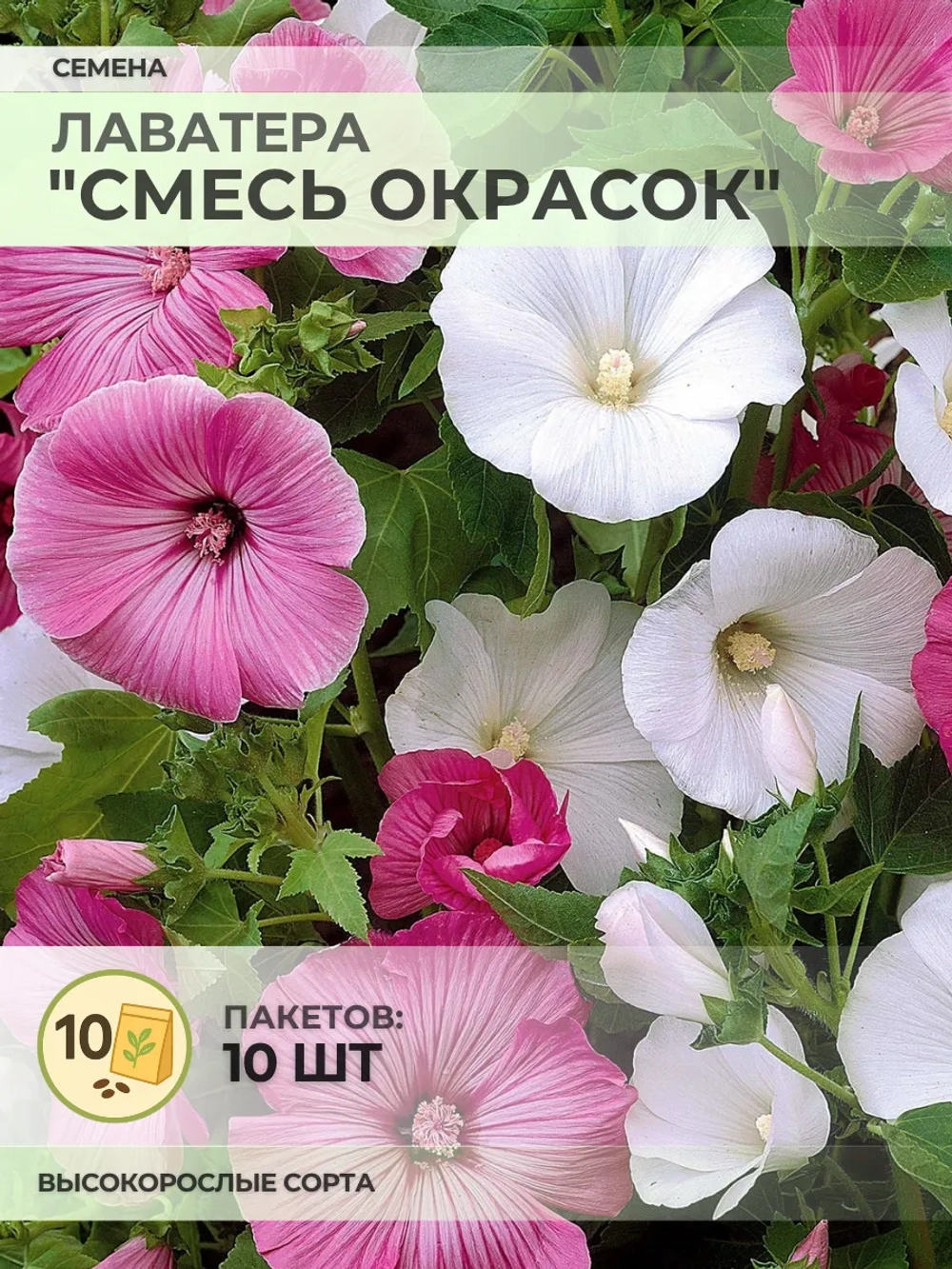 Семена Лаватера "Смесь окрасок" - 10 пакетов