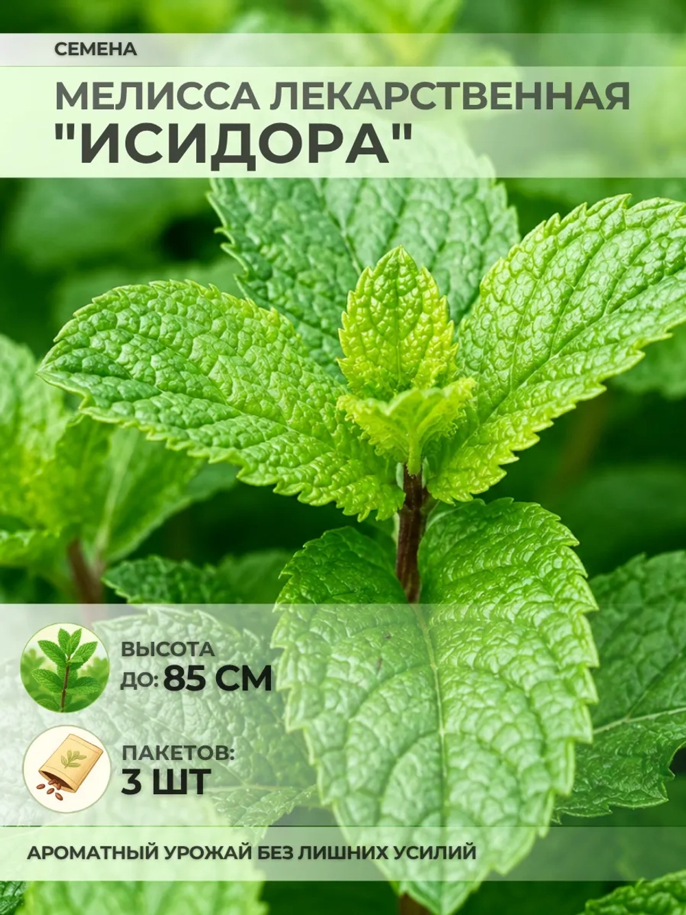 Семена Мелисса лекарственная "Исидора" - 3 пакета