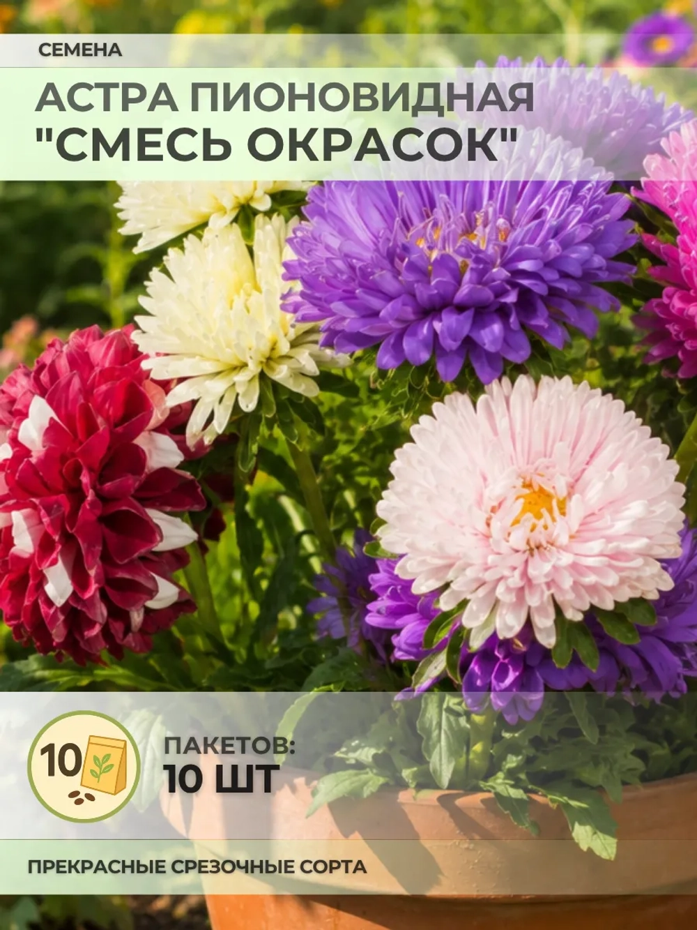Семена Астра Пионовидная "Смесь окрасок" - 10 пакетов