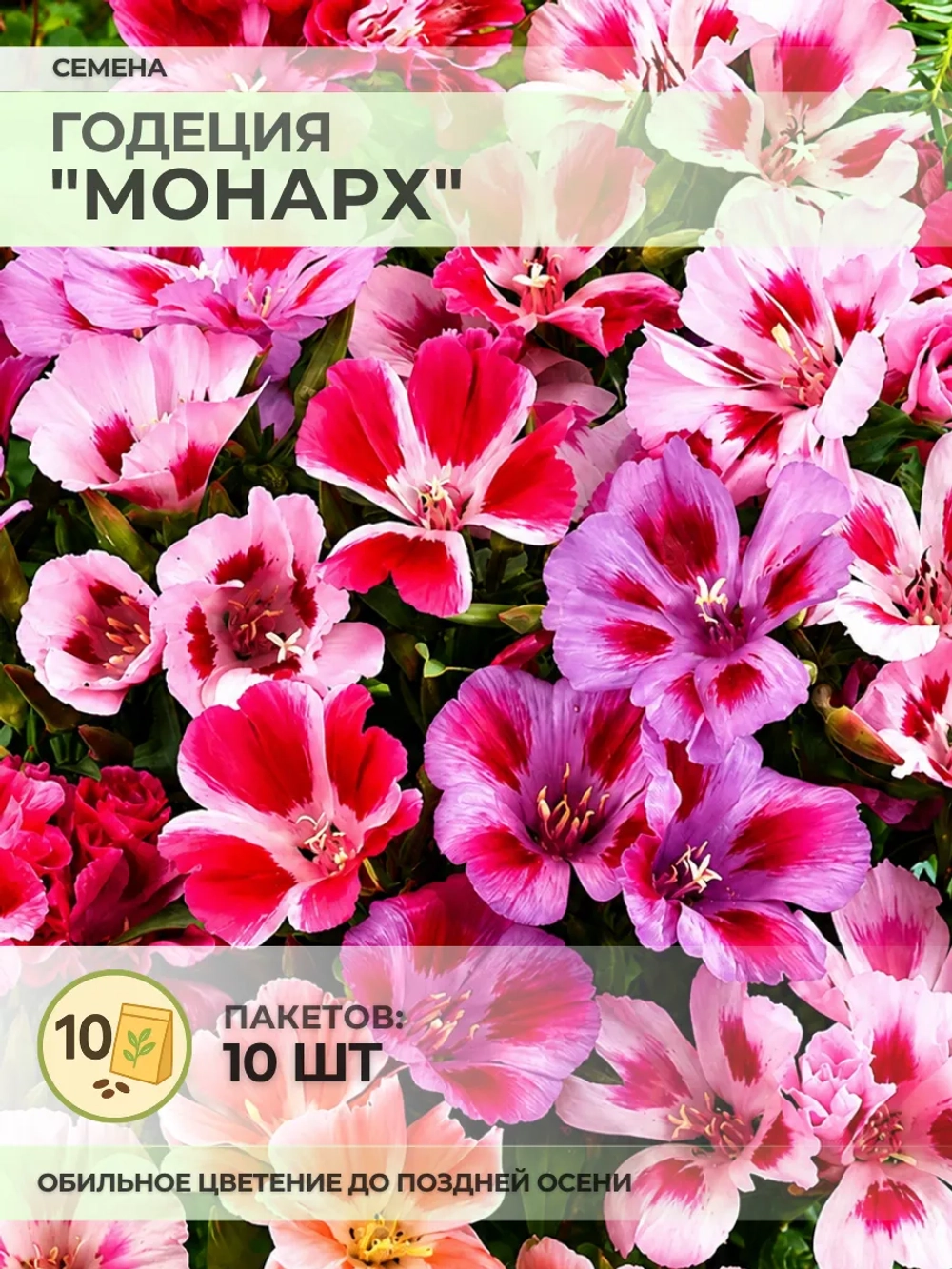 Семена Годеция "Монарх" - 10 пакетов