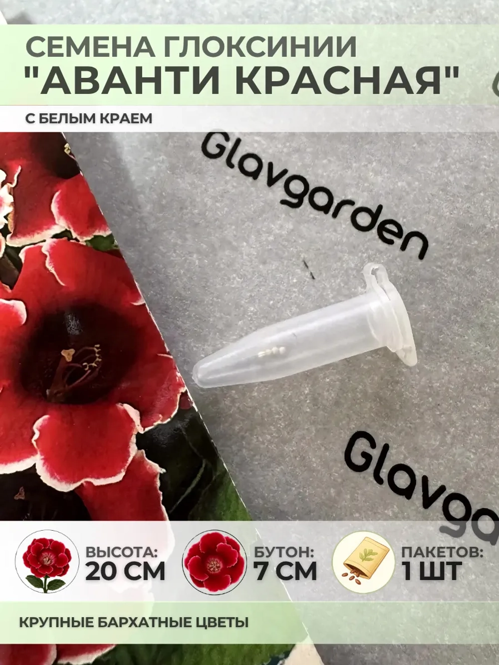 Семена Глоксинии "Аванти красная с белым краем" - 1 пакет