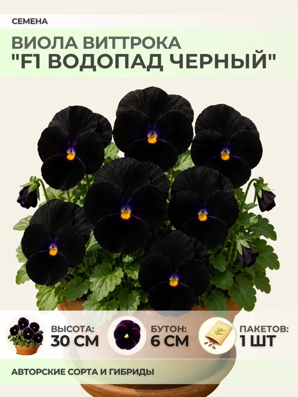 Семена Виолы "F1 Водопад черный" - 1 пакет