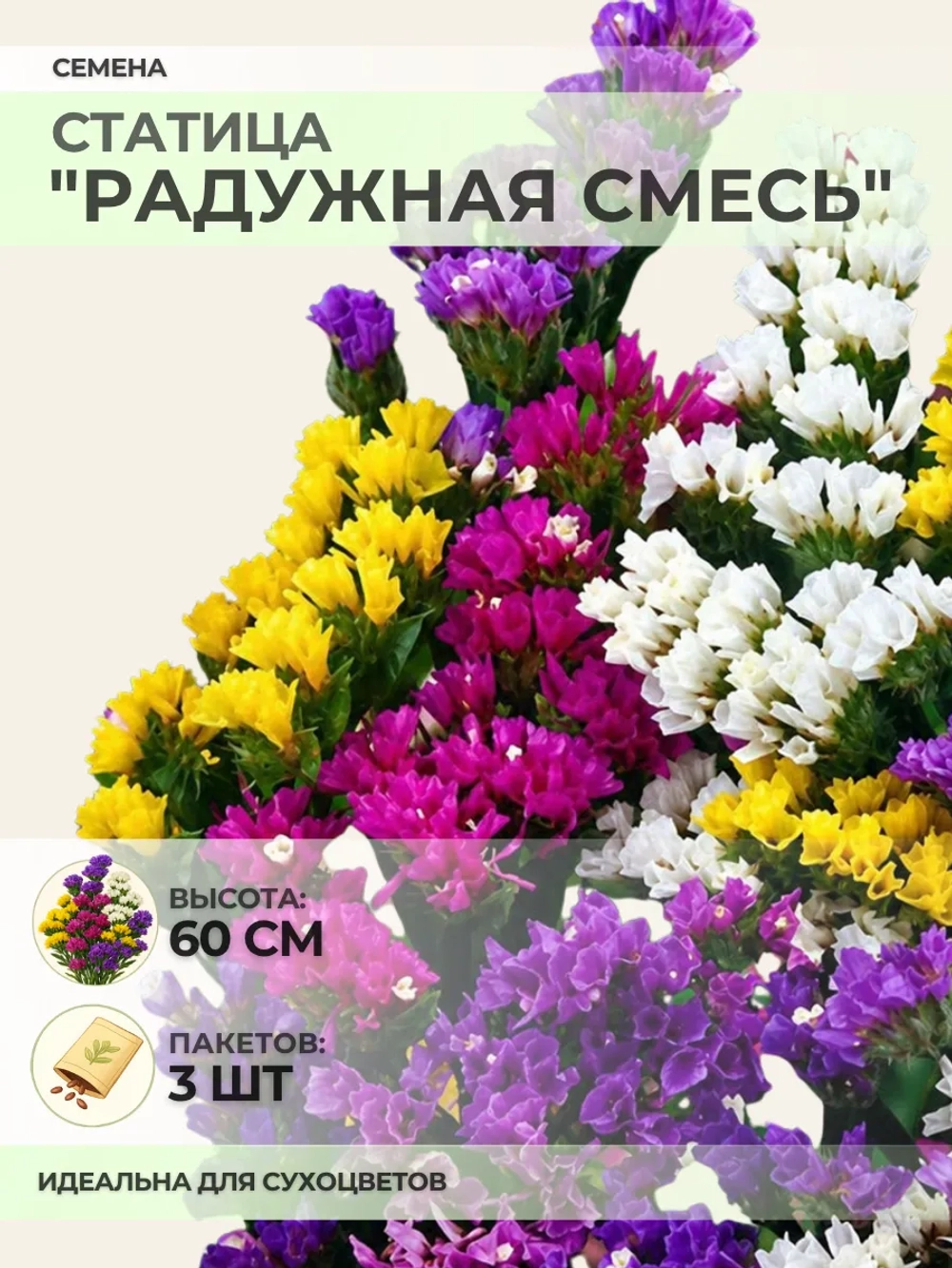 Семена Статицы "Радужная смесь" - 3 пакета