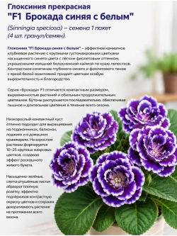 Семена Глоксинии "F1 Брокада синяя с белым" - 1 пакет