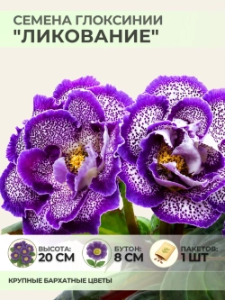 Семена Глоксинии прекрасной "Ликование" - 1 пакет