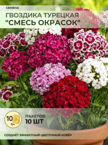 Семена Гвоздика Турецкая "Смесь окрасок" - 10 пакетов