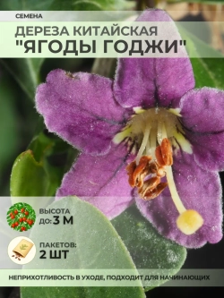 Семена Дереза Китайская "Ягоды Годжи" - 2 пакета