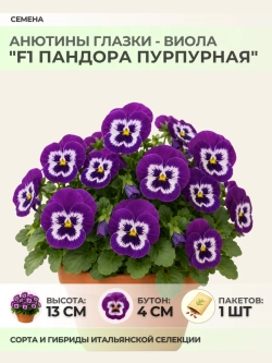 Семена Анютины глазки "F1 Пандора Пурпурная" - 1 пакет