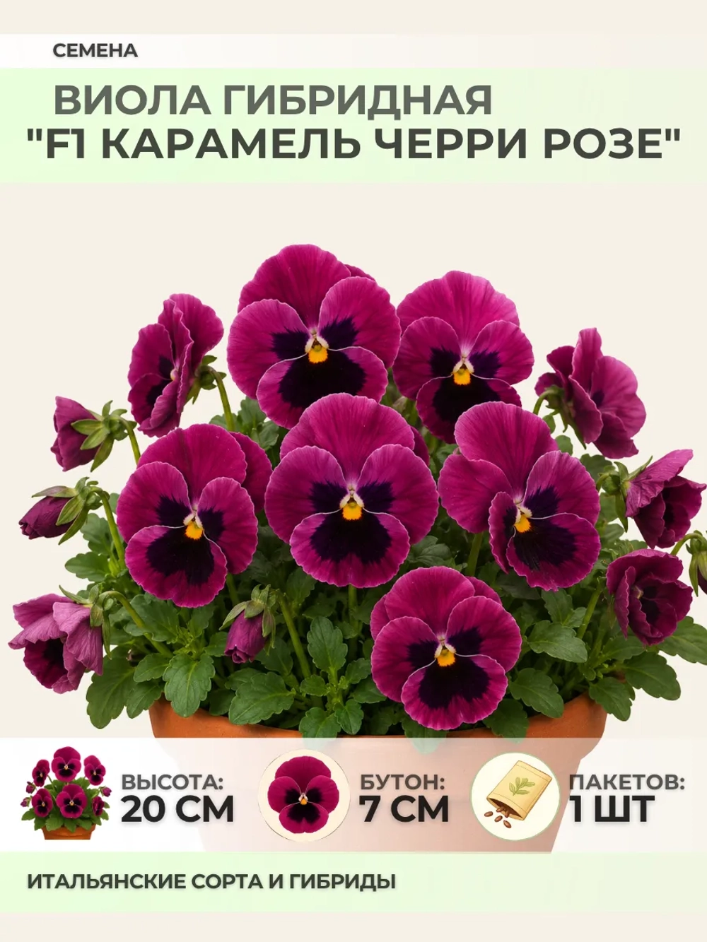 Семена Виолы гибридной "F1 Карамель Черри Розе" - 1 пакет