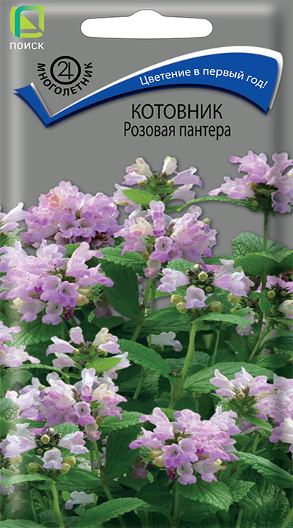 Котовник Розовая пантера