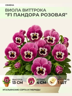 Семена Виолы Виттрока "F1 Пандора розовая" - 1 пакет
