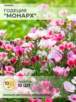 Семена Годеция "Монарх" - 10 пакетов